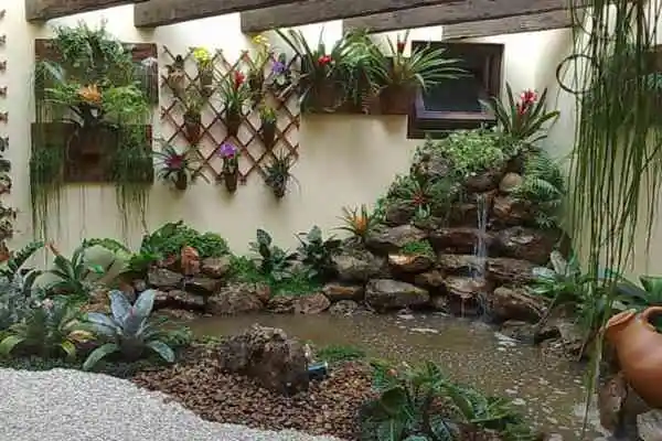 Imagine entrar em um ambiente fechado e ser recebido por um cenário encantador: um mini jardim aquático interno. Este oásis em miniatura transforma qualquer espaço em um refúgio tranquilo e revitalizante. A imagem que temos aqui captura a essência desta beleza natural compacta.